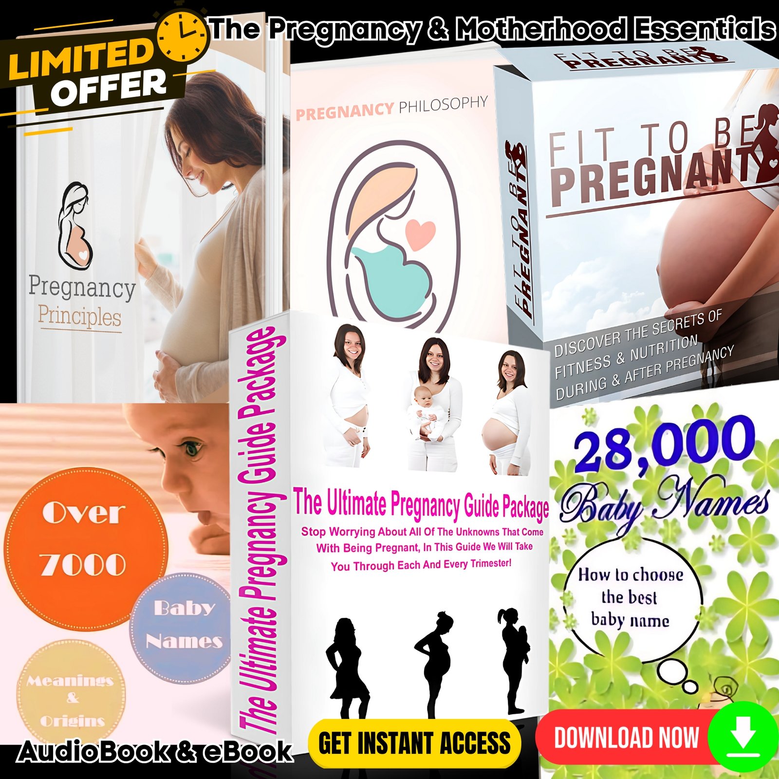 The Pregnancy & Motherhood Essentials Bundle - Package